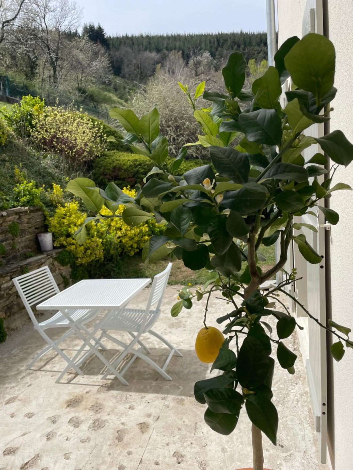 Apartmán Les Terrasses Du Pilat La Valla-en-Gier Exteriér fotografie